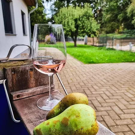 Zur Schlossruine 公寓 *