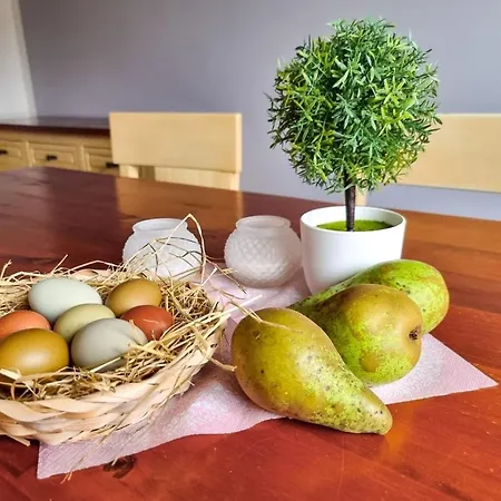 Zur Schlossruine 公寓 *