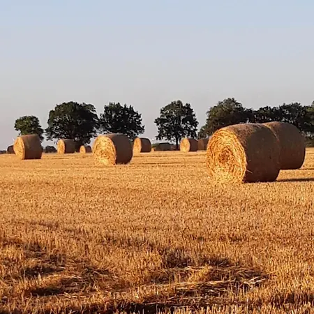 公寓 Zur Schlossruine