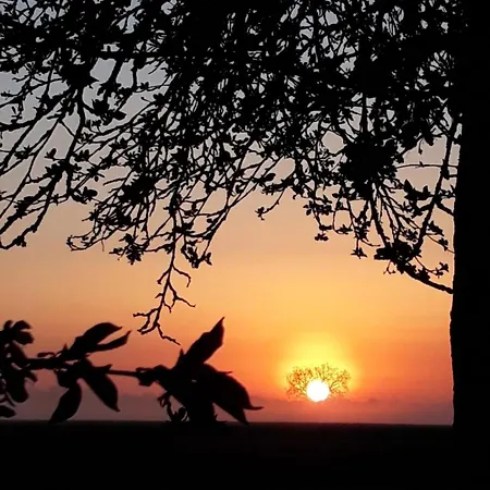 Zur Schlossruine 公寓 Boldekow