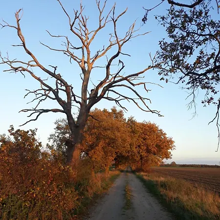 Zur Schlossruine * Boldekow