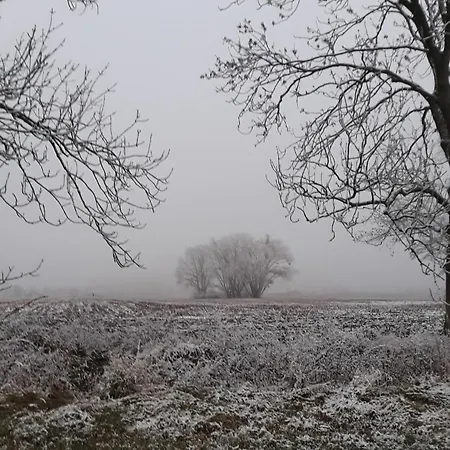 公寓 Zur Schlossruine