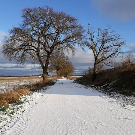 Zur Schlossruine * Boldekow