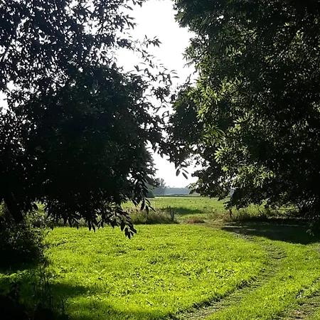 公寓 Zur Schlossruine Boldekow