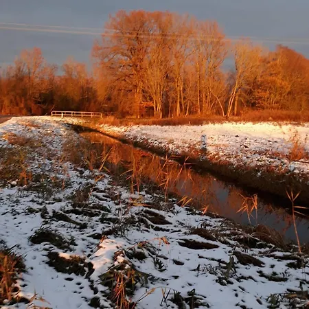 Zur Schlossruine 公寓