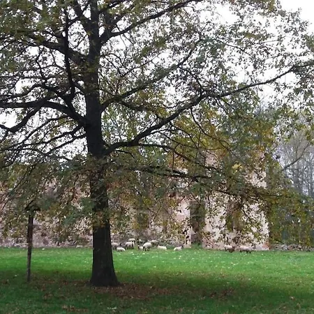 公寓 Zur Schlossruine